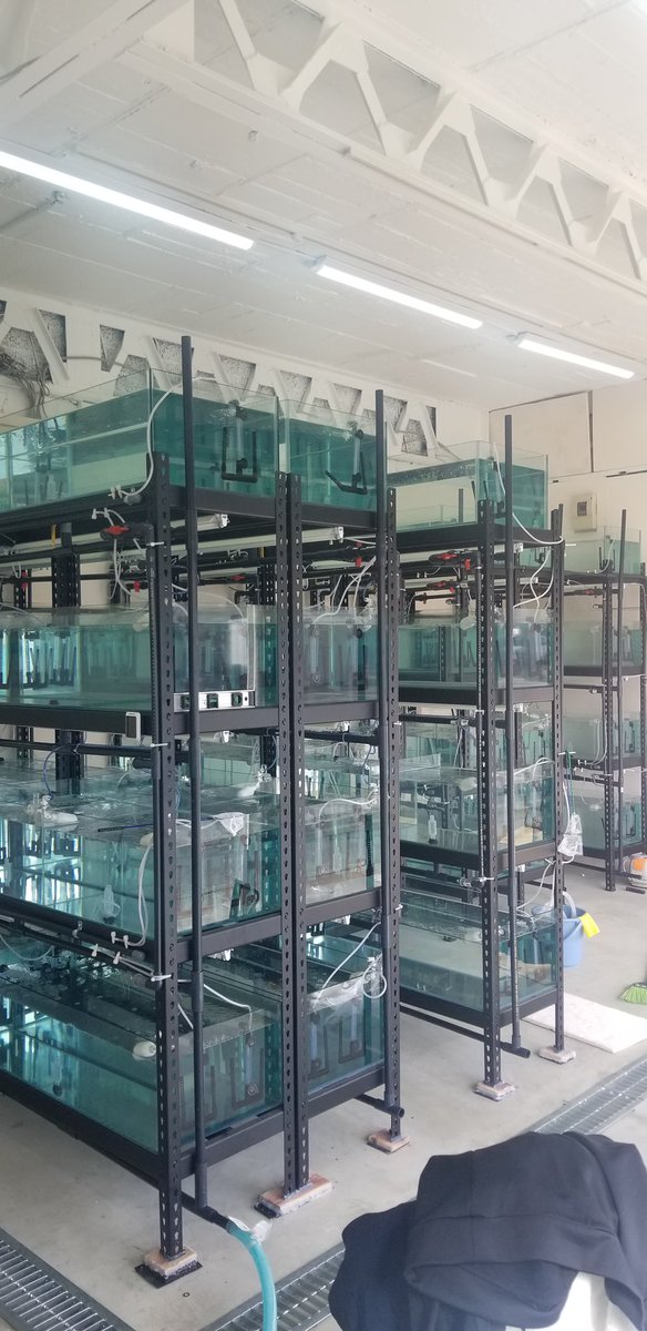 大量の水槽🤣👍✨