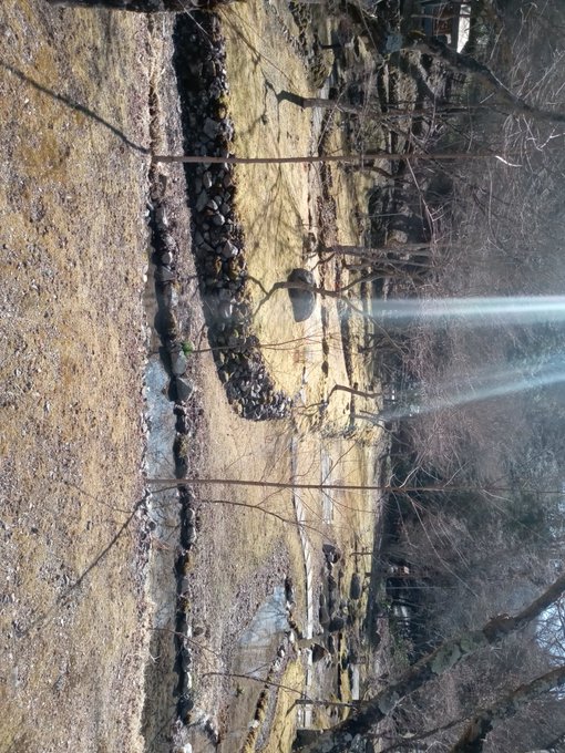 イワオ めしねこ 2巻発売中 S Recent Tweets 10 تحليلات تويتر الرسومية الخاصة بهوتويت Whotwi