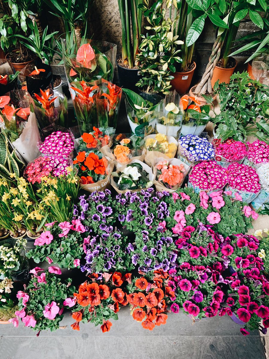 efscapes's tweet image. Thursday flower markets #Florence