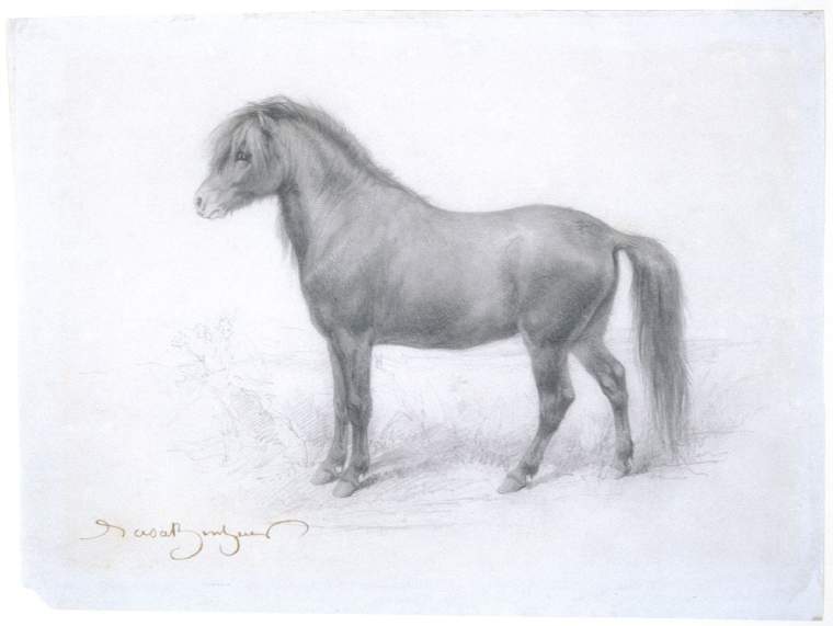 FitzMuseumEduca's tweet photo. In celebration of #LGBTHM21 this weeks #LookThinkDo is honour of the artist Rosa Bonheur who is best known for artworks of animals🐴
https://t.co/NwPzgnqIAs https://t.co/OlNRzYputC