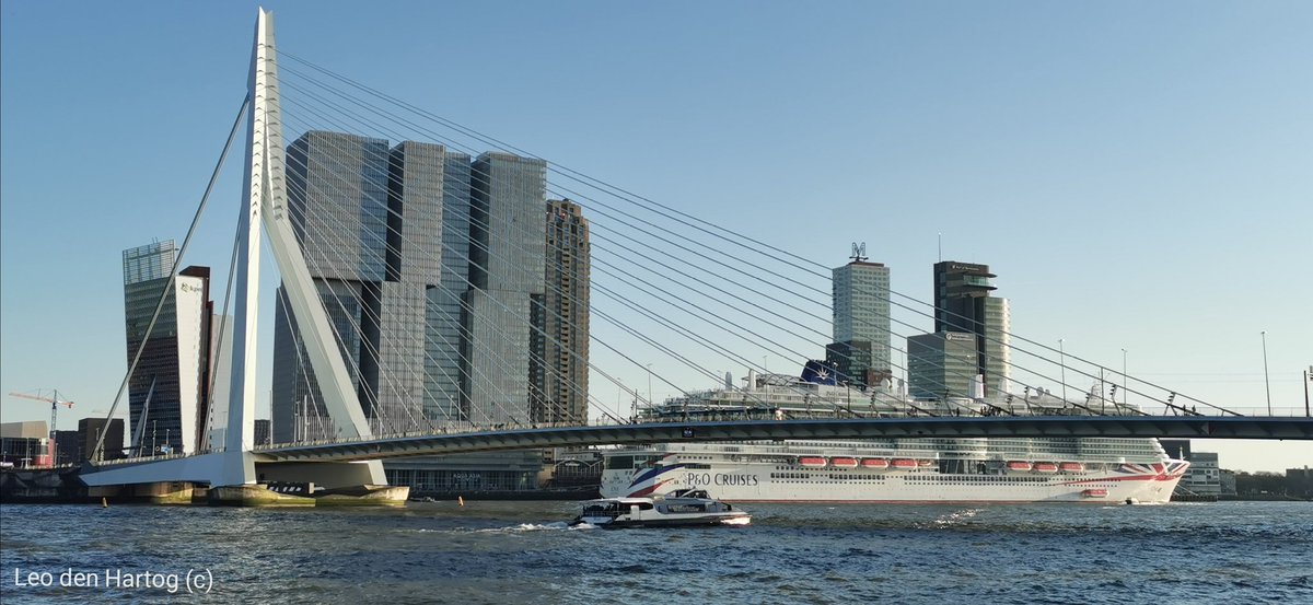 RotterdamXXL tweet media