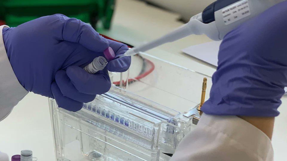 Marie-Lou St-Onge tweet media