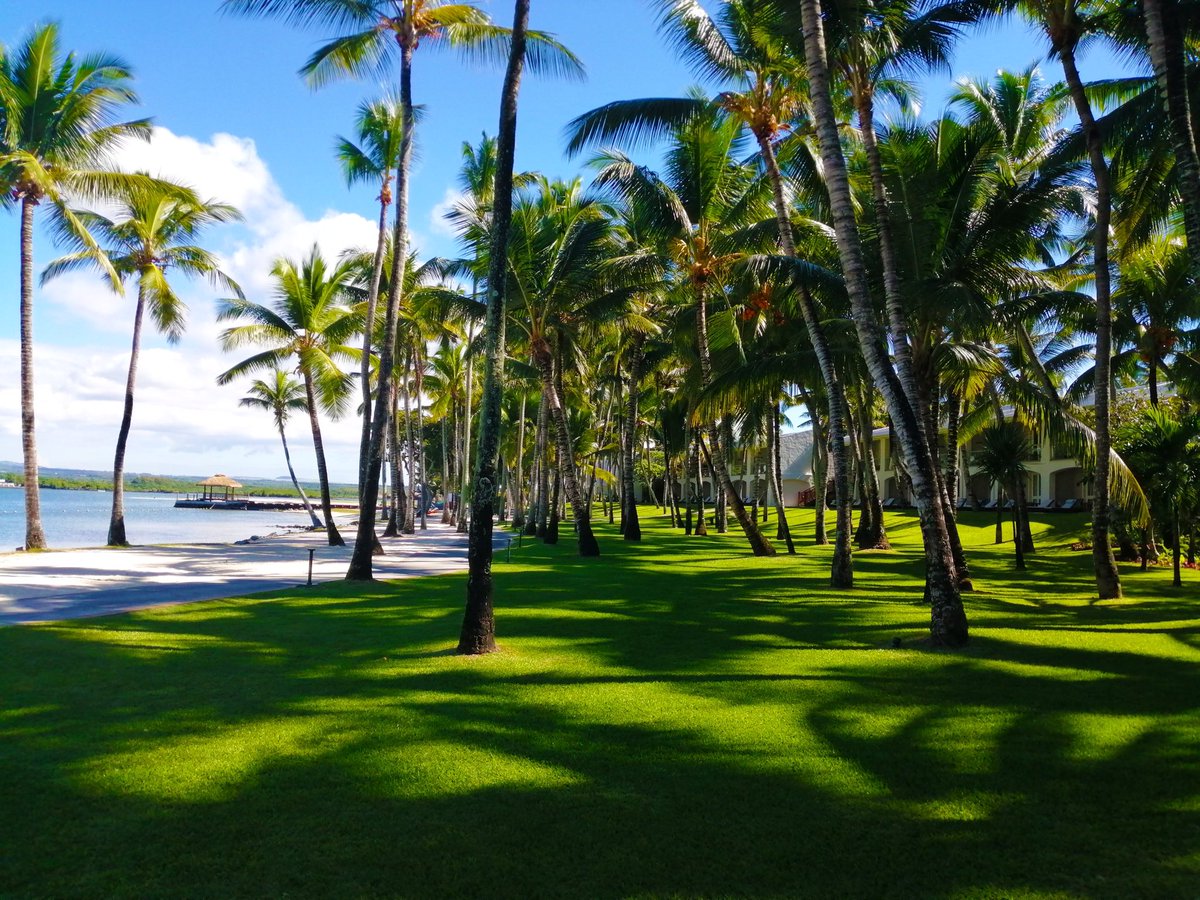 Some days are better spent relaxing under palm trees.
#oonlyhere #oolesaintgeran #feelmauritius
