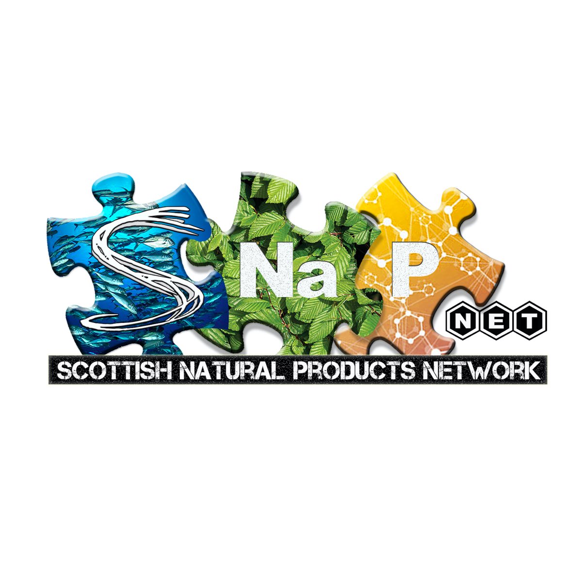 CHEMScot's tweet photo. Amazing conversations at Scottish Natural Products Network #SNaPNet Launch event! Academics and Industrialists coming together to shape the future the sector in Scotland and beyond! #bioeconomy #netzero
@CHEMScot @IBioIC @sustain_aqua @KTNUK @InterfaceOnline @TheBCBProject https://t.co/M0WJHZW5xc