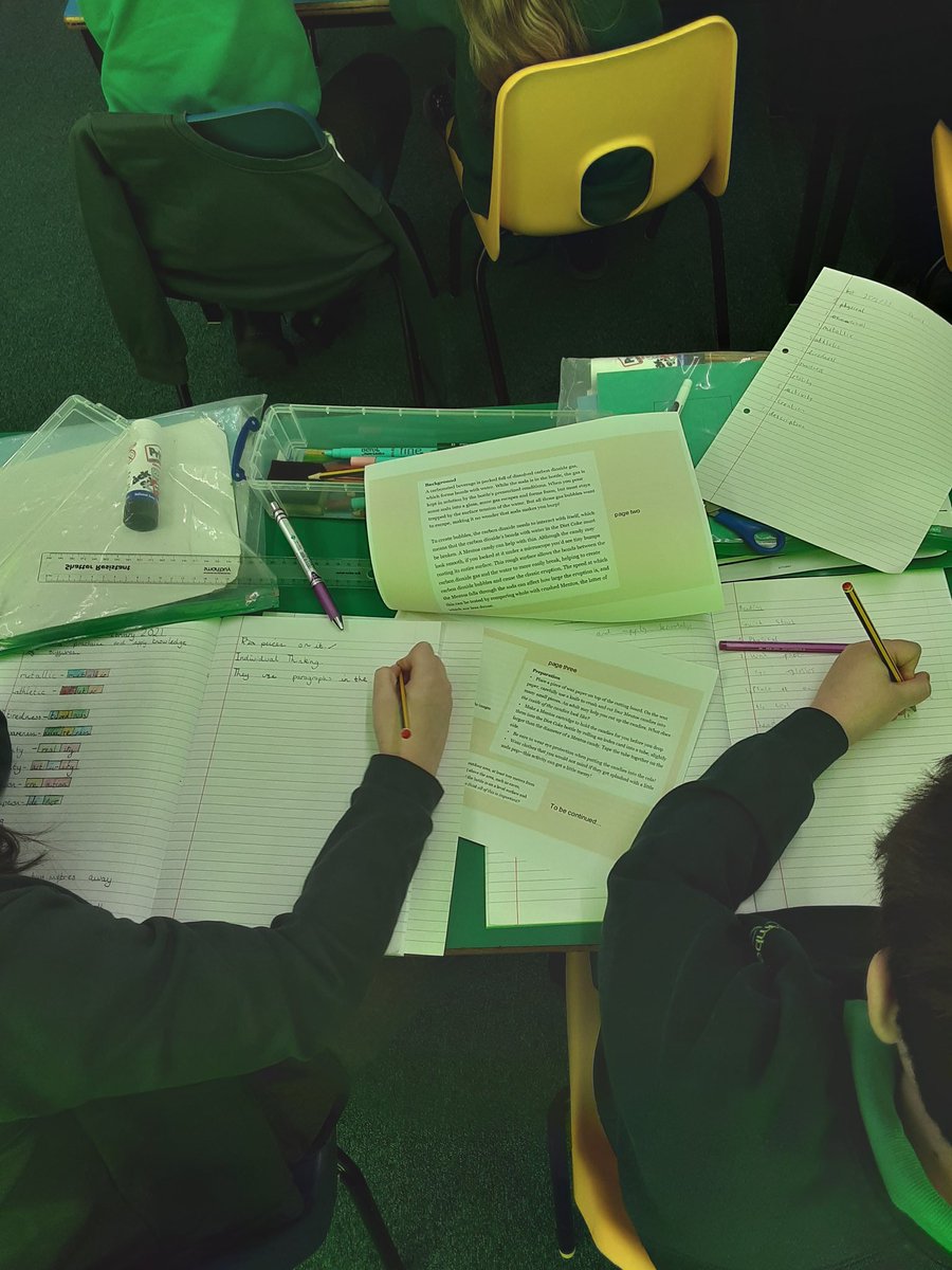 Timbertreeyear5 tweet media