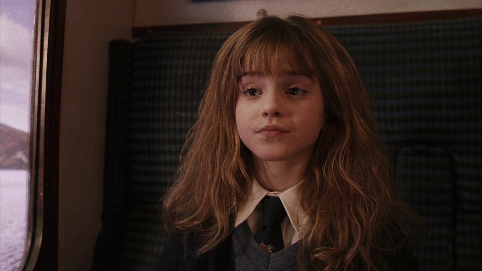 Harry Potter And The Sorcerers Stone Hermione Quotes