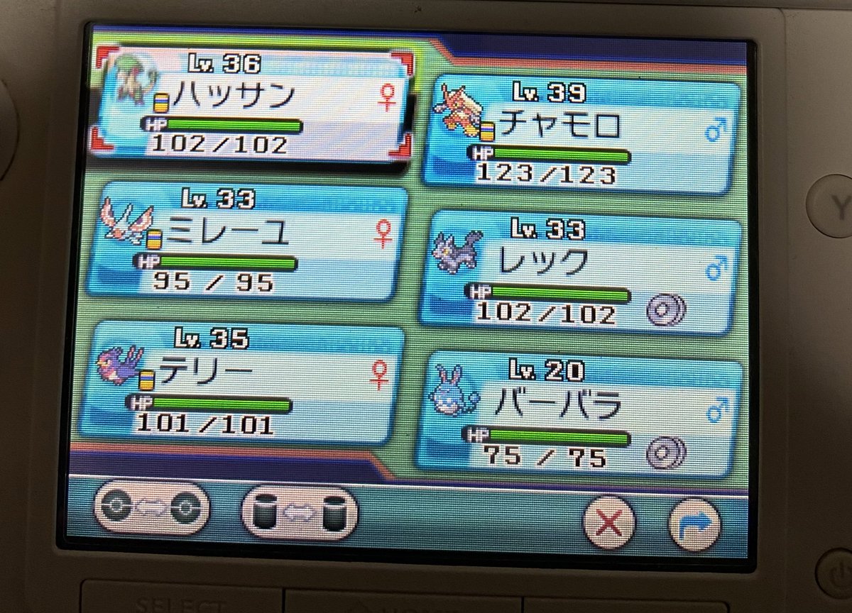 みかん 現在のパーティその2 マリルリだけ ステータスを撮り忘れていました アルファサファイア Oras みかん 現在のパーティその2 マリルリだけ ステータスを撮り忘れていました アルファサファイア Oras