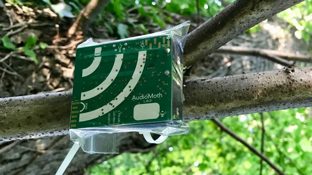 jj_lahoz's tweet image. Interested in acoustic monitoring of wildlife&amp;amp;soundscapes, terrestrial/aquatic? Take this SURVEY to help plan the #opensource acoustic monitoring tech of the future! #bioacoustics #ecoacoustics #tech4wildlife #techforgood survey.alchemer.eu/s3/90316767/Op… Please RT! @AudioMoth @WILDLABSNET