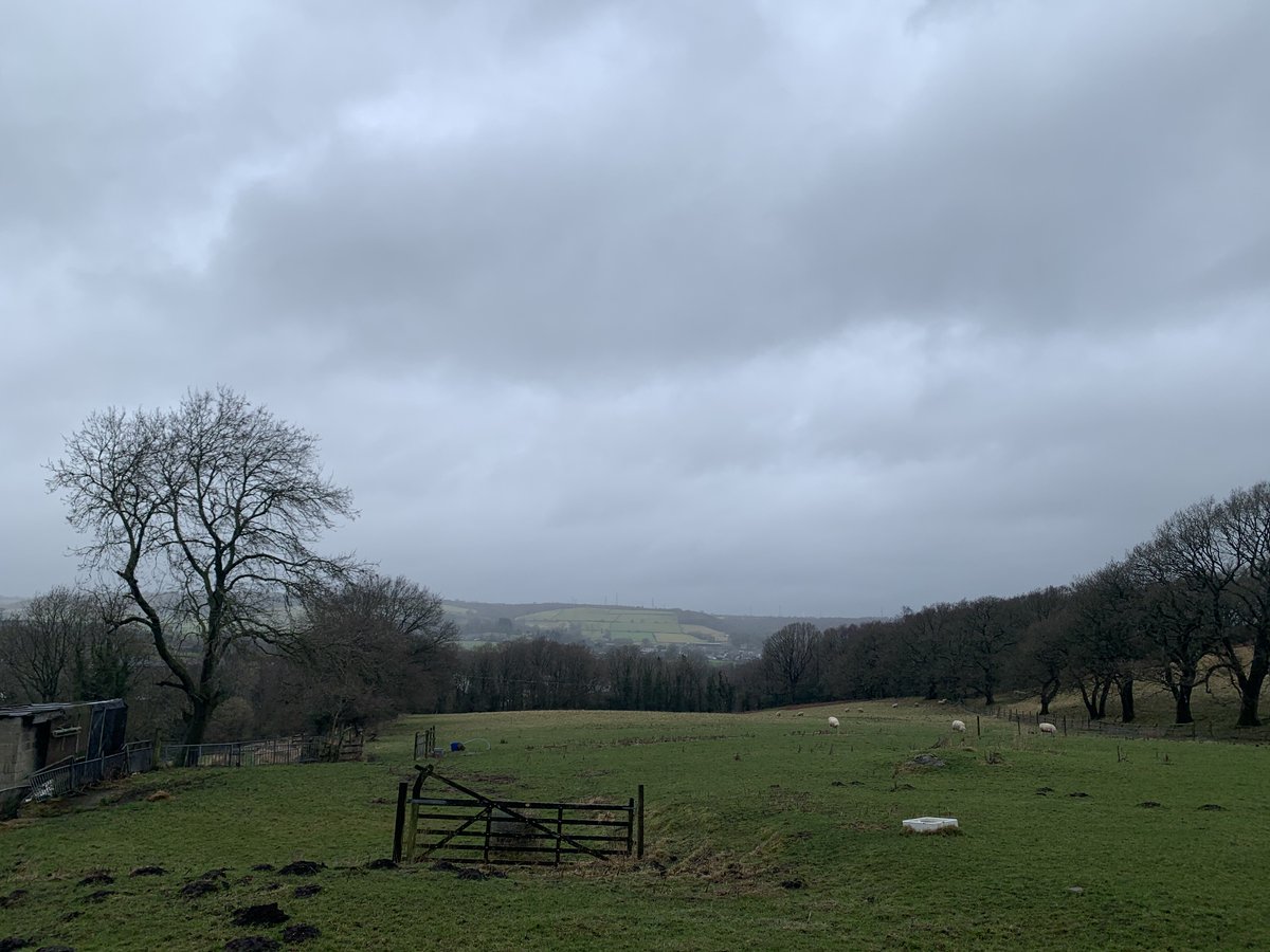 bdctalktherapy's tweet photo. 4 images on 4 consecutive days of the same place. Notice how the gate looks different depending on the weather. However, the gate isn't changed, at it's core it is doing same thing and this is a great #metaphor https://t.co/JCyerqNWP1