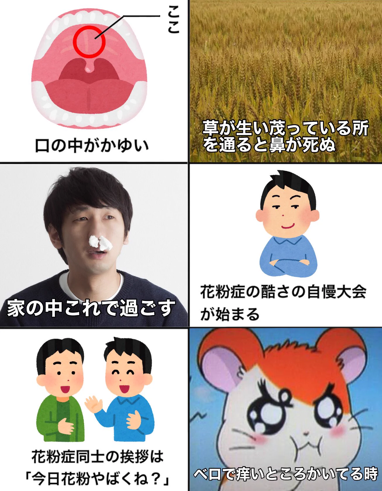 花粉症持ちには辛い季節がやって来る･･･！花粉症あるある！