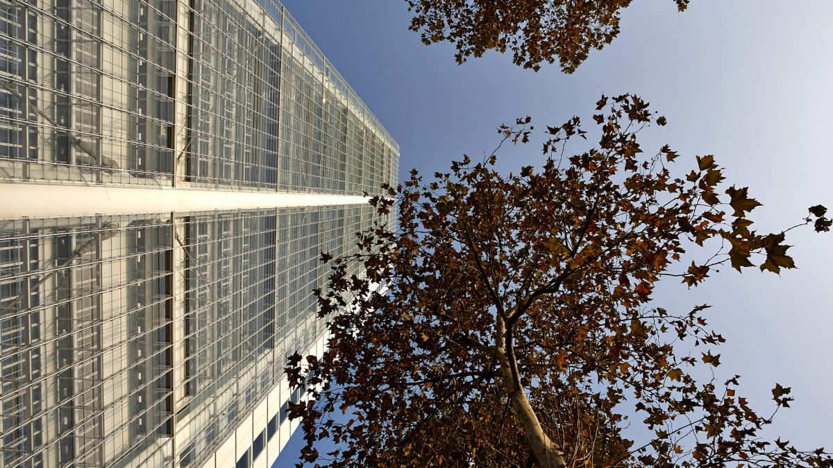 intesasanpaolo's tweet photo. The #EPFSFWinterConference “Shaping the Future of Europe” focused on the kind of economic and financial system Europe seeks to support its citizens on the path to recovery and growth. Download the speech of the Chairman of Intesa Sanpaolo here:
📌https://t.co/PUyhzcumpN https://t.co/4iDFlFpXu0