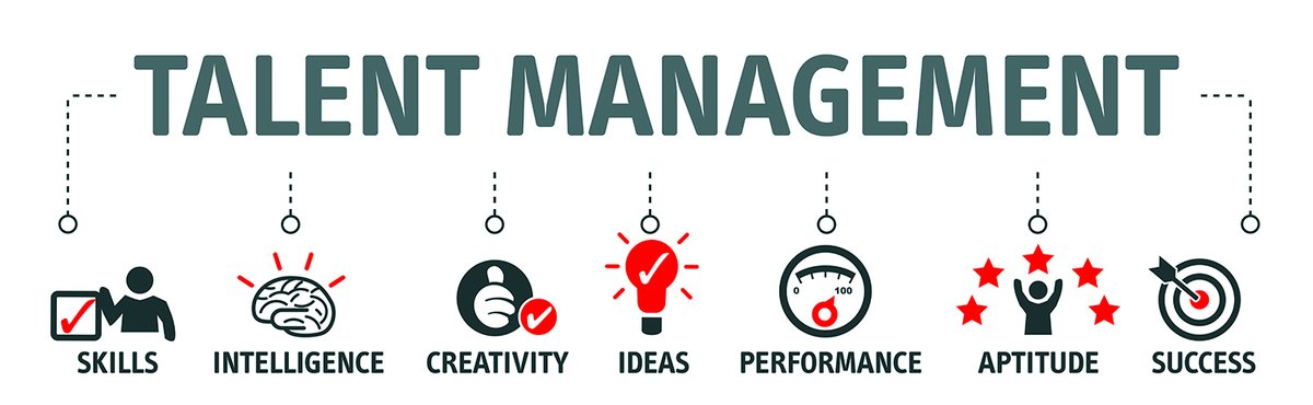 capacity_for's tweet photo. Talent Management Practitioner (TMP) Training
MAR 1 AT 10 AM–MAR 5 AT 4 PM 
The most powerful top-up qualification for individuals looking to start their careers in HR/Talent Management. 
#thursdaymorning #Nengi #CBNGovrnor #ThirdMainlandBridge https://t.co/gP8EUDNWbx