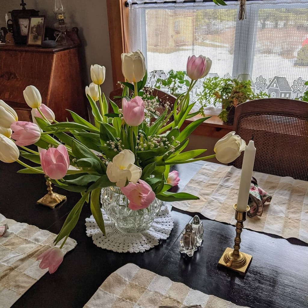 LiquidAssetsNS's tweet image. Thinking of Spring!
Will March come in like a lion or a lamb?
How will you celebrate the longer days?
#spring #thinkingofspring #lionorlamb instagr.am/p/CLuW8QqnUi_/