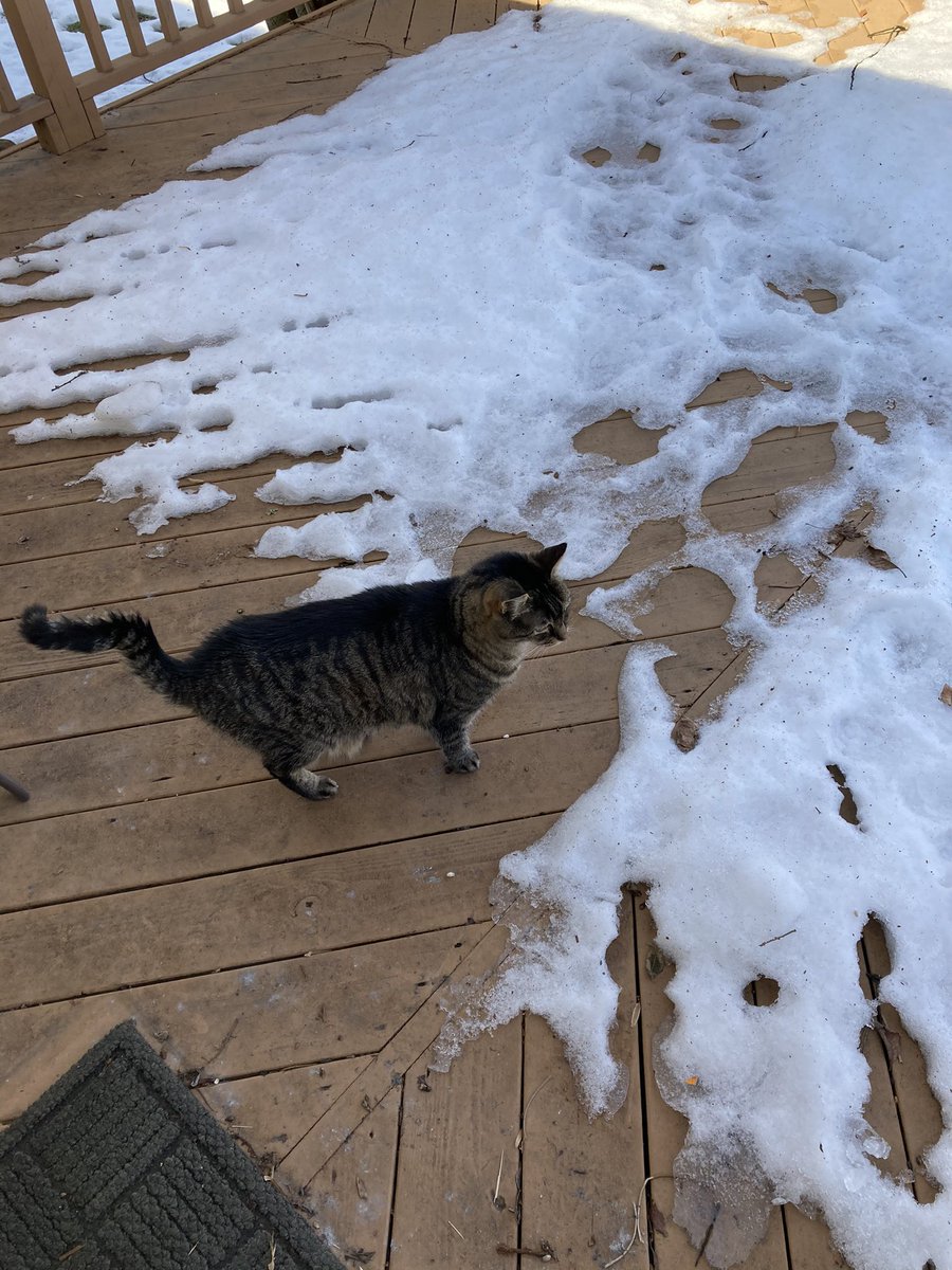 ModePj's tweet image. 