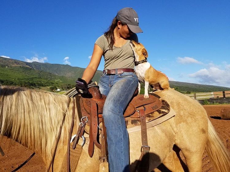 Nutrex Hawaii tweet media