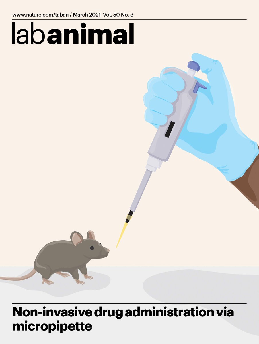 Issue 3 is out online - check out the March TOC here: nature.com/laban/volumes/…

And on the cover: Non-invasive drug administration via micropipette
nature.com/articles/s4168…