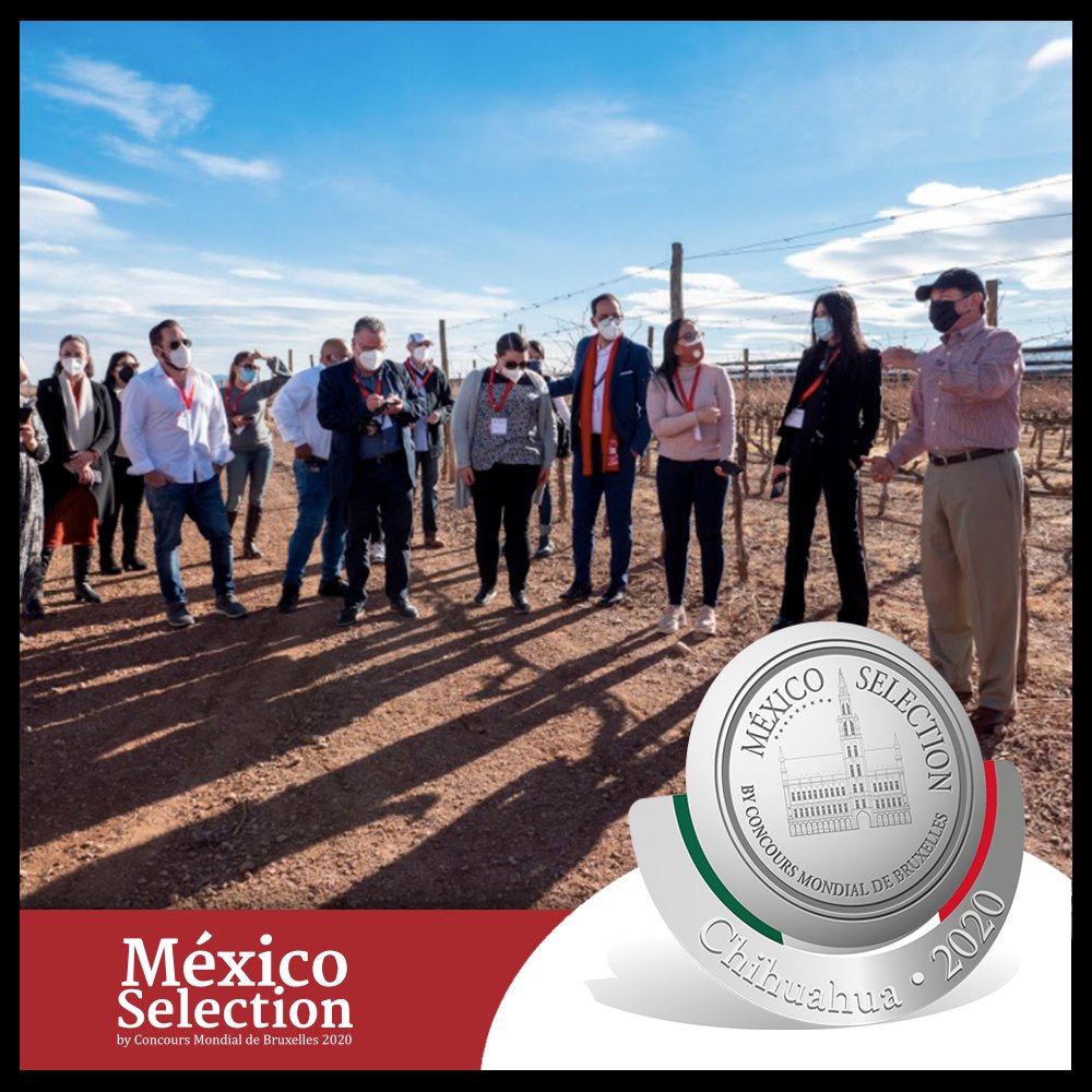 MexicoSelection's tweet image. El pasado miércoles 24 de febrero fue el primer día de cata a ciegas del México Selection by Concours Mondial de Bruxelles. La evaluación se realizó hasta la 1:00 pm para después cerrar el día visitando Bodega Encinillas.

Siguiendo el camino de la vida: Chihuahua 2020.