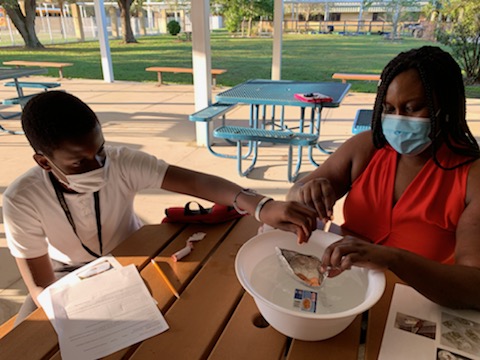 GPNaples's tweet photo. Parent engagement has always been a critical component of Grace Place programs and our students' success. Check out these photos from last night's middle school Parent Night! #TheGracePlaceWay https://t.co/hUNNkdqp2G