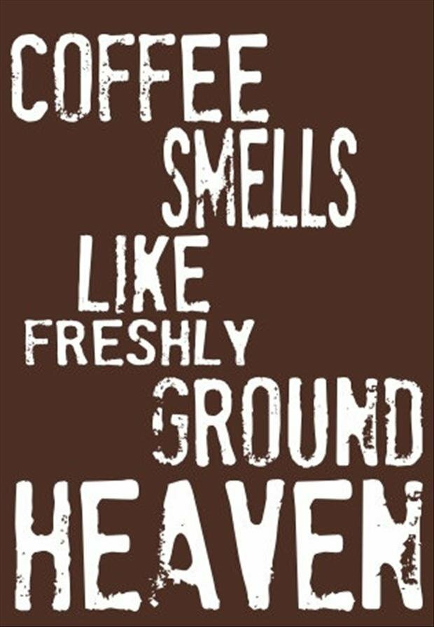CoffeeMemesSrv's tweet photo. #coffeememe #meme #coffee https://t.co/8WO6LDgwbv