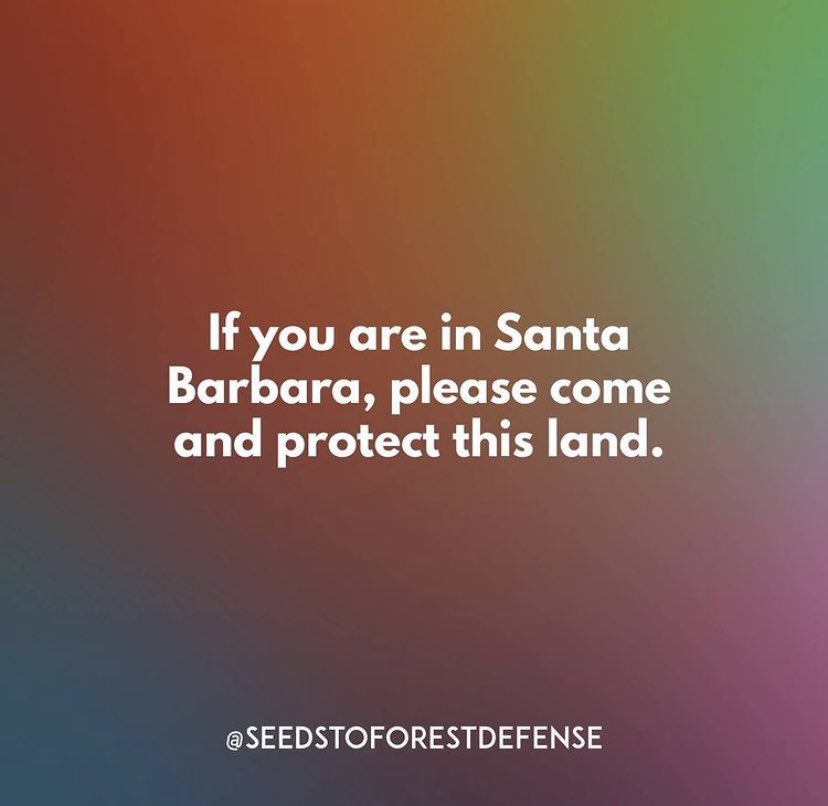 JsticeJstwater's tweet photo. ‼️‼️URGENT CALL TO ACTION FOR SANTA BARBARA‼️‼️

Indigenous land defenders need your help now!! Please see thread for more ways to support (reposted from IG) in person support is needed urgently! https://t.co/vTfiwiPaBV