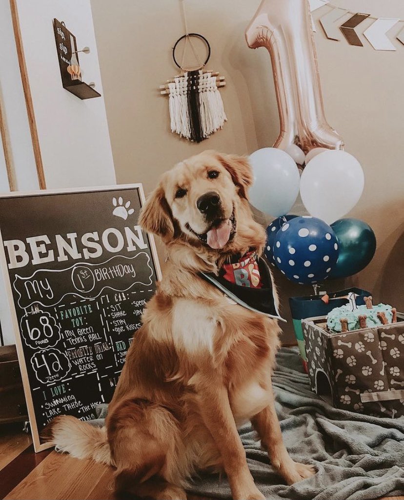 emilykummer1's tweet photo. @kaitlynbristowe Every birthday I made him a new sign like moms do with their kids, homemake him a cake and then take him to the store to go pick out any toy he wants https://t.co/7yBZd7sjuA