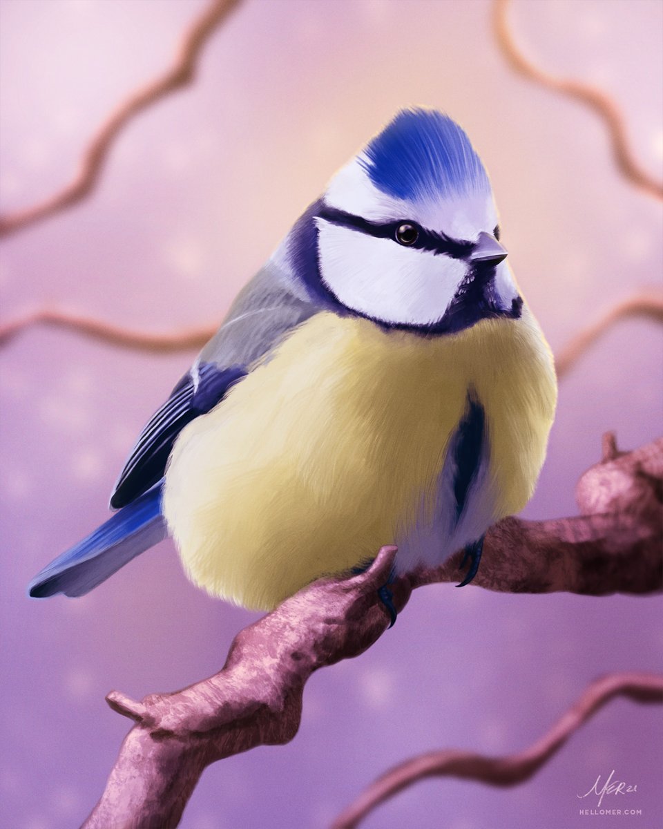 Eurasian Blue Tit! Painted in Procreate for February's Bird Whisperer Project.

-- 
#BirdWhispererProject #SciArt #BirdArt #Painting #Digital #TwitterNatureCommunity