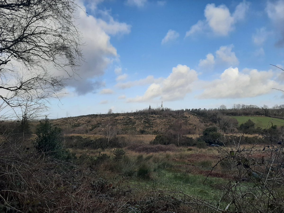 CycleGort's tweet photo. #Day55 #100DaysofCycling #100daysofwalking off I went onto the #BogWalk in Peterswell- those clouds really fascinate me !
#GortCycleTrails #SafeCycleTrails #Redroute5 #RedRouteCycleWay https://t.co/9SMkmo3TkO