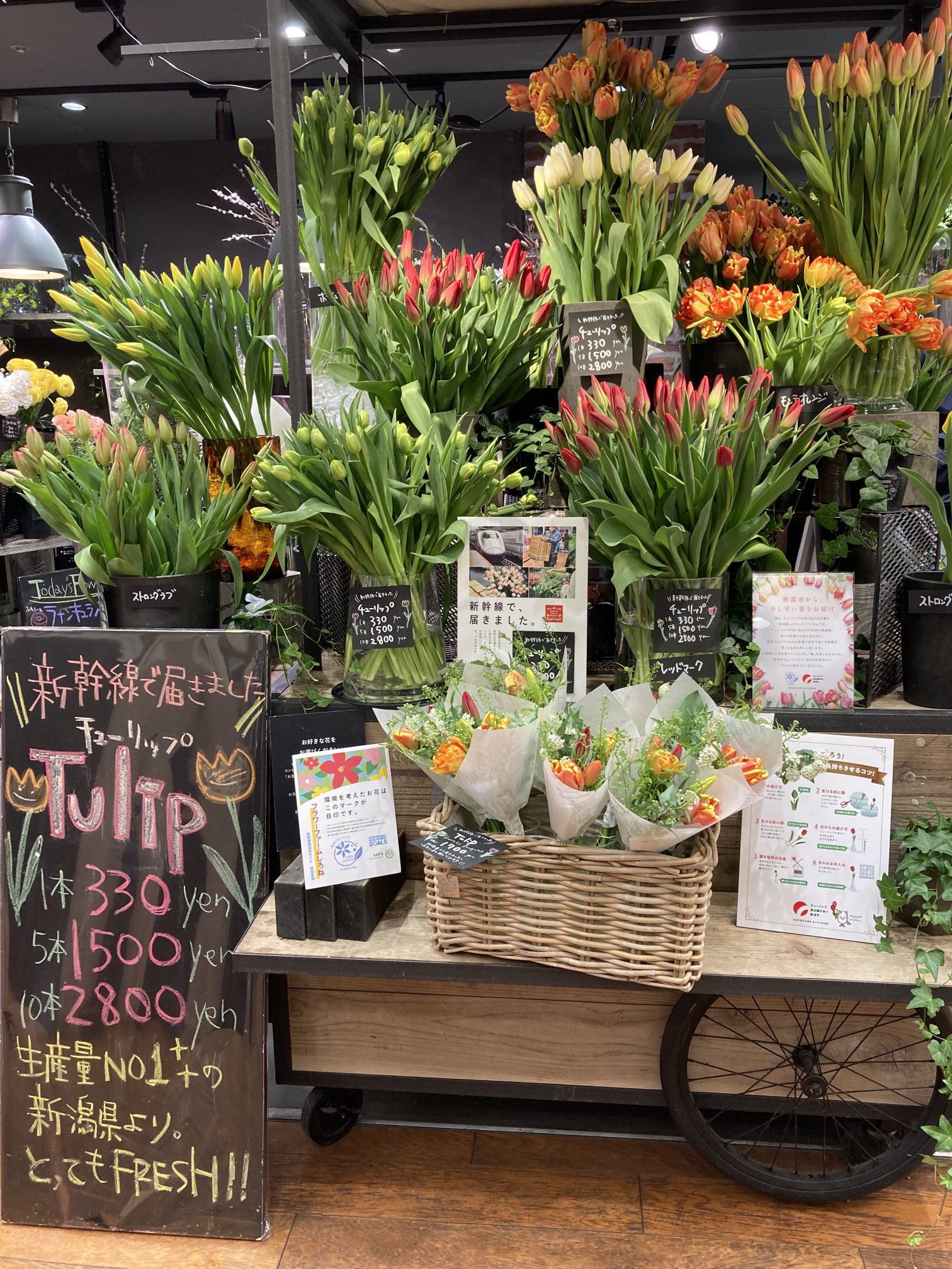 チューリップ40周年実行委員会 Auf Twitter 東京駅のお花屋さんに 新幹線で届いたチューリップが 春はもうすぐそこまで T Co Uvfzse0tcw Twitter チューリップ40周年実行委員会 Auf Twitter 東京駅のお花屋さんに 新幹線で届いたチューリップが 春はもうすぐそこまで T Co Uvfzse0tcw Twitter