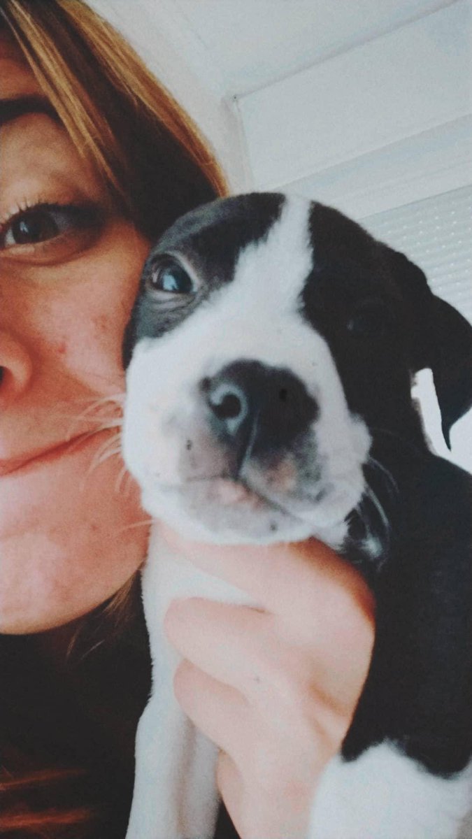 LoreetoRios's tweet photo. Hola, se me cae la baba con la enana, adiós.
Está en adopción con @AmarPPPs https://t.co/Zpo117WNgb