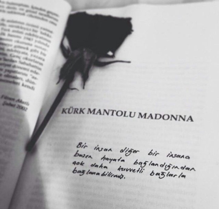 persephonenp's tweet photo. “Bir insan diğer bir insana bazen hayata bağlandığından çok daha kuvvetli bağlarla sarılabilirmiş.” ❤

Kürk Mantolu Madonna, 
Sabahattin Ali https://t.co/jvjiaiKXlE