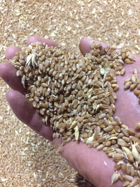 James Mayes tweet media