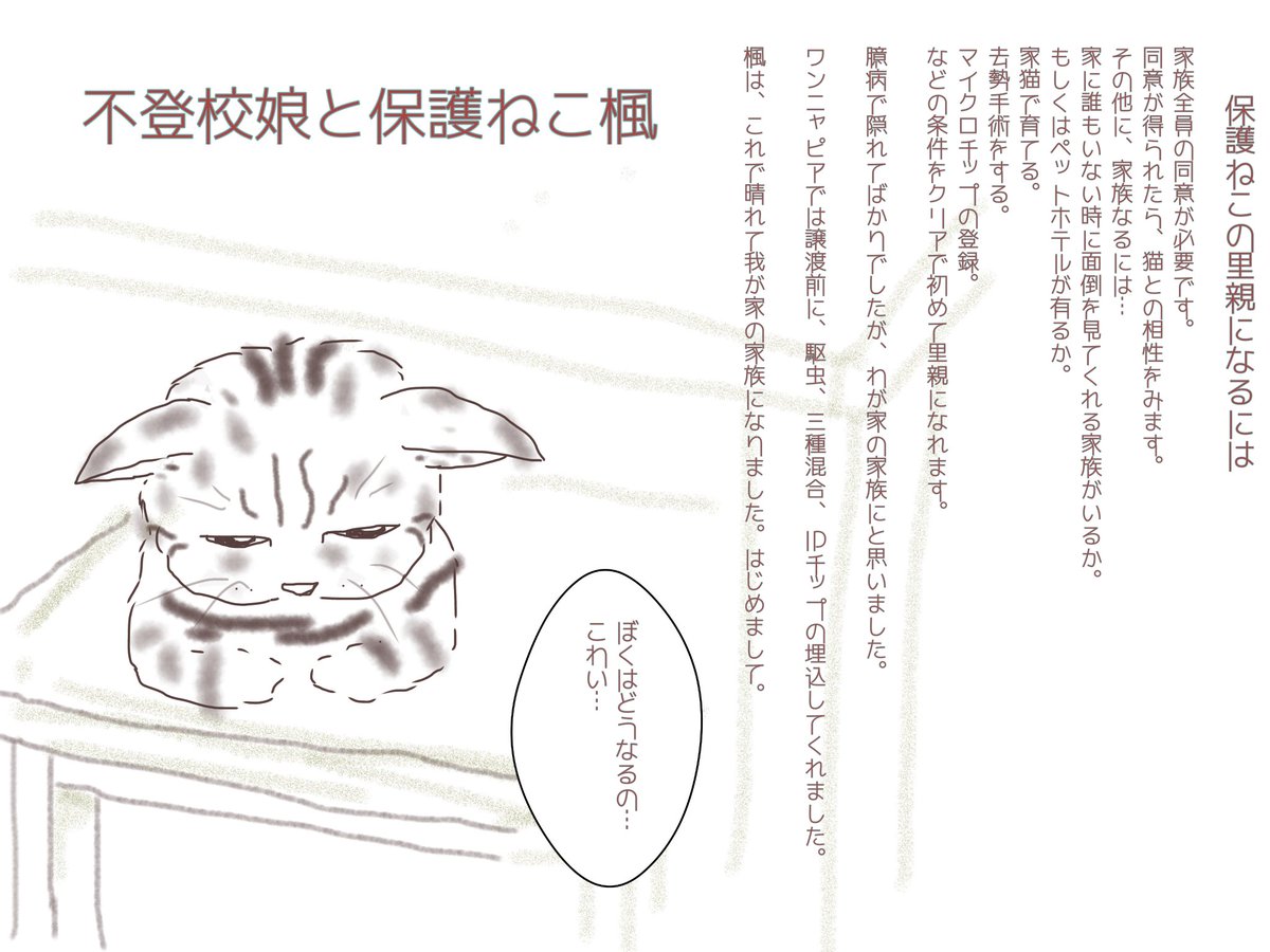 Uzivatel Yu Yu Na Twitteru 保護猫を里親に迎える条件を描いてみました 保護ねこ楓 ようこそわが家へ 保護猫 不登校娘と保護ねこ楓