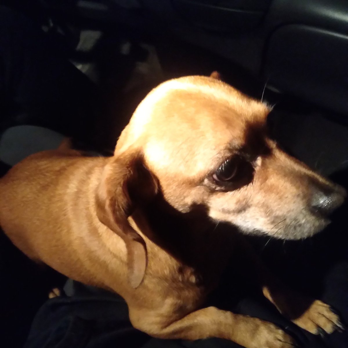 Emily Bryant 💛 tweet media