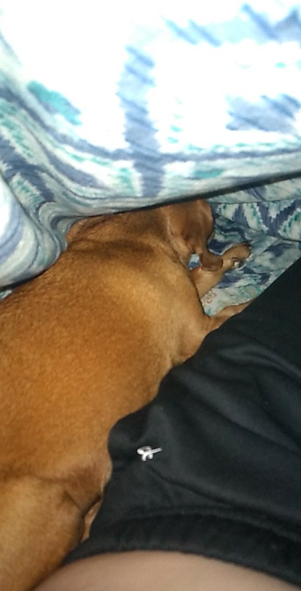 Emily Bryant 💛 tweet media