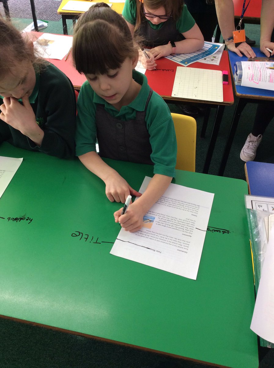 Timbertree Year 2 tweet media