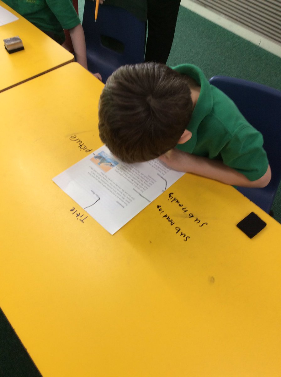 Timbertree Year 2 tweet media