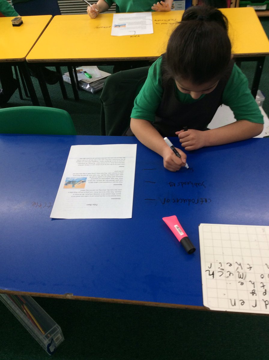 Timbertree Year 2 tweet media