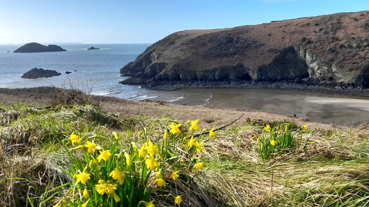 cbarterdavies's tweet image. Views on my walk today ๐
โ
๐๐ผ