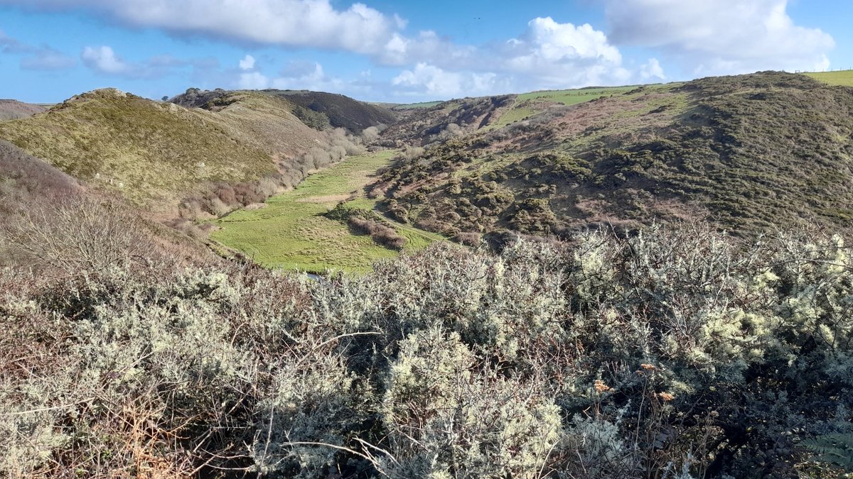 cbarterdavies's tweet image. Views on my walk today ๐
โ
๐๐ผ