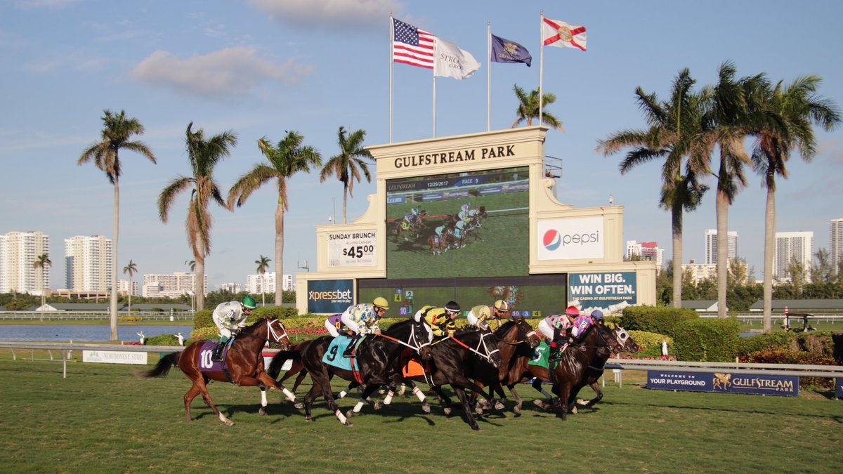 JoeysVIPClub's tweet image. Hey everybody my Gulfstream Park Card is done and ready to win!

🚨 Retweet and get my full Gulfstream Card minus my VIP Plays you can Join VIP at my Website joeysvipwagers.com to get all VIP Bets 🚨