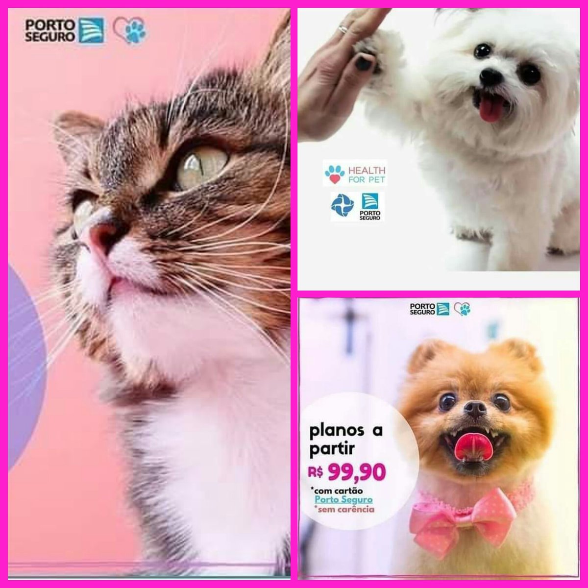 SolangeDPG's tweet photo. 🐾Health for Pet oferece os melhores cuidados veterinários, com uma excelente relação custo - benefício.
🐾🐾🐾🐾🐾🐾🐾🐾🐾🐾🐾

🤗Acesse ou copie o Link e saiba mais⤵
https://t.co/ht4jD78gCA

#projetomeuportoseguro #meuportoseguro #veterinarios #saudedog #saudecat #healtforpet https://t.co/AKW79EEb9s