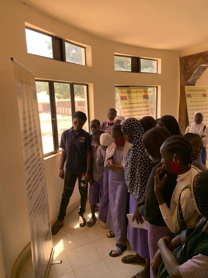 GambiaHDT's tweet photo. Today we are privileged to have school children from Jalambang school visiting. Mansajang our blind filly, wanted to participate in the lesson. https://t.co/ug4sFVTKME