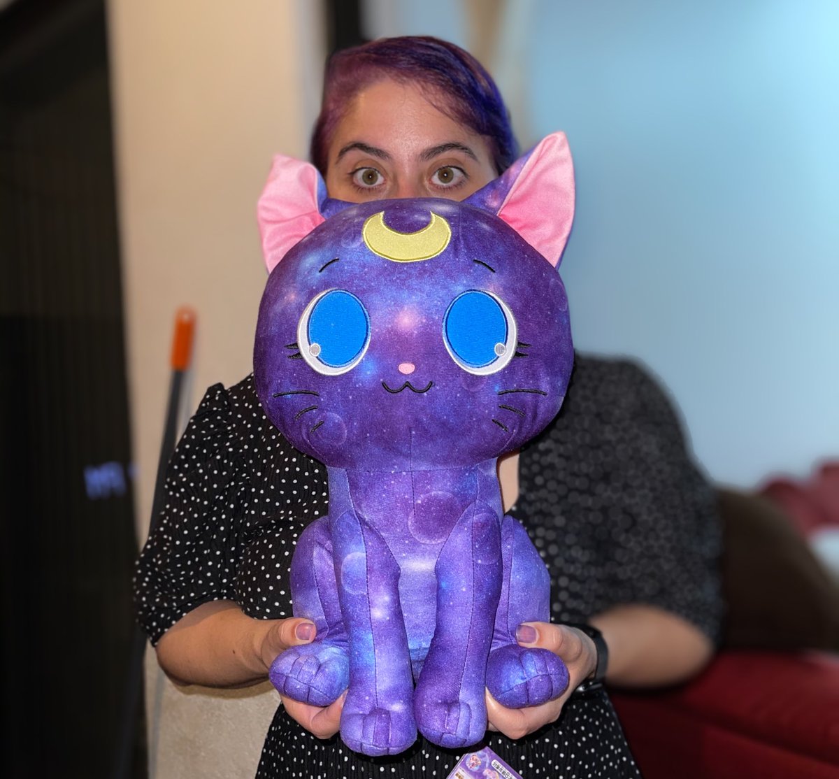 SailorTortilla's tweet photo. -STARE INTO THE VOID WITH LUNA-

So glad AnimeOsaka recommended this plushie to me. I almost missed it! https://t.co/c4vE6FSA2G