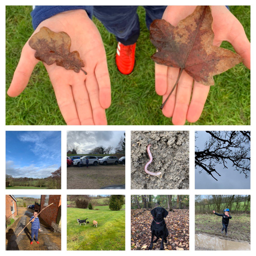 DHP_at_NHIJS's tweet photo. Great to see photos of the pupils enjoying our half term scavenger hunt. The stars of the show were their super-sized sticks and wriggly-wiggly worms! #nhsremote #somuchmore https://t.co/ABvnc9nEYT