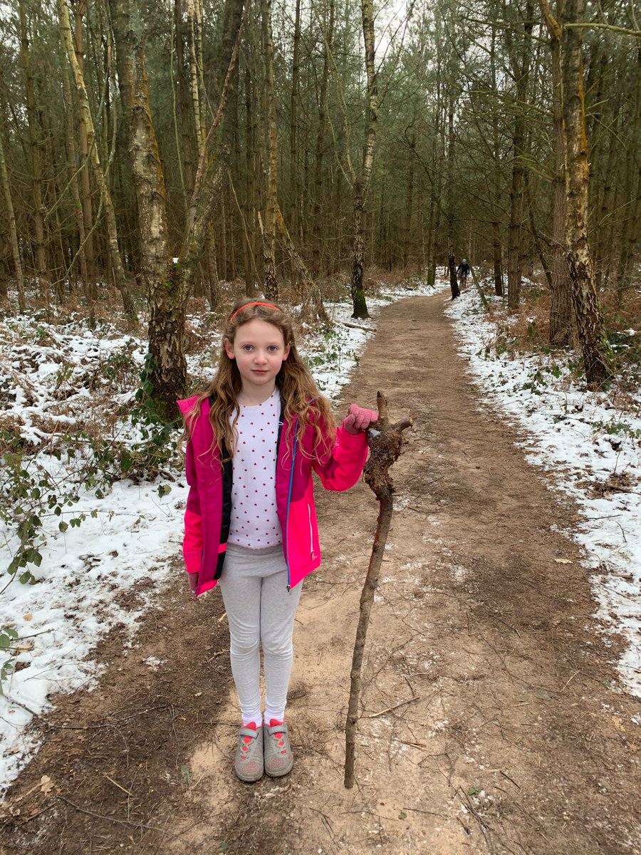 DHP_at_NHIJS's tweet photo. Great to see photos of the pupils enjoying our half term scavenger hunt. The stars of the show were their super-sized sticks and wriggly-wiggly worms! #nhsremote #somuchmore https://t.co/ABvnc9nEYT
