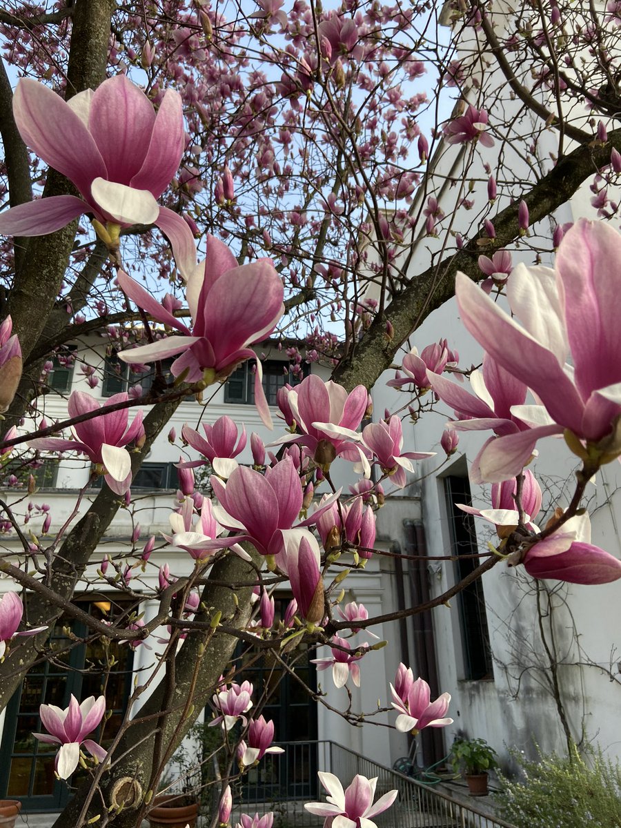 La primavera sta arrivando 🙂