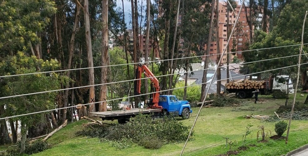 BernardaOM's tweet photo. En la calle Los Laureles en #Cuenca se estan construyendo unas camineras de cemento y para eso se estan cortando mas de 150 arboles. 
Cambian pulmones vivos del planeta por cemento y si ya estuvo aqui ayer la @emac_ep y siguen cortando 🌳
Como el derecho no funciona voy a TW. https://t.co/nDIzN2a7Oa