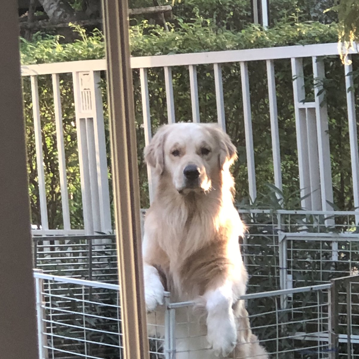 todayismikeday's tweet image. นุด ทำไร เล่นกับเราหน่อย