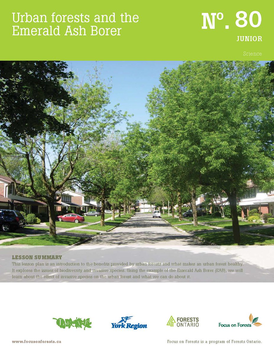 #InvSpWk Learn about the negative effects that invasive species like the Emerald Ash Borer can have on our forests and biodiversity with this lesson plan, designed for grades 4-6! ow.ly/rb0Z50DJIL7