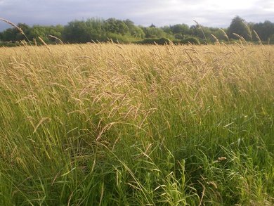 Can you find Shropshire council's environmental policy as they've just kicked it somewhere? <a href="/ShropCouncil/">Shropshire Council</a> <a href="/ShropshireStar/">Shropshire Star</a> @DC4Battlefield @KeriTrigg_LDR